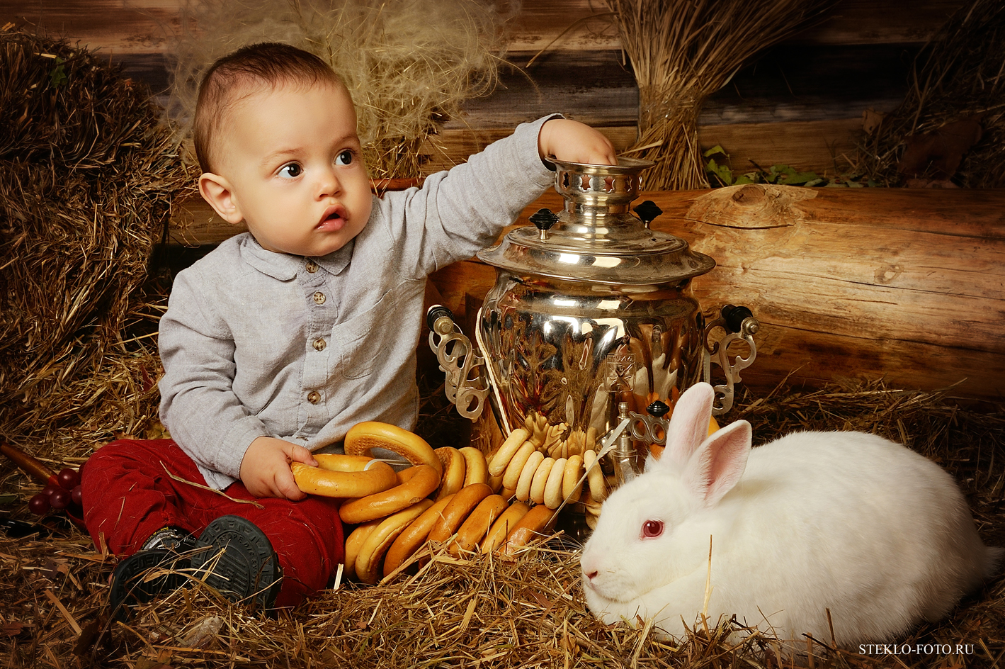 новогодняя фотосессия с кроликом