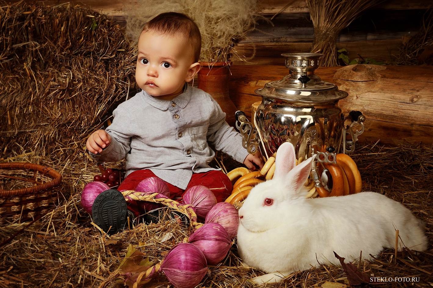 новогодняя фотосессия с кроликом